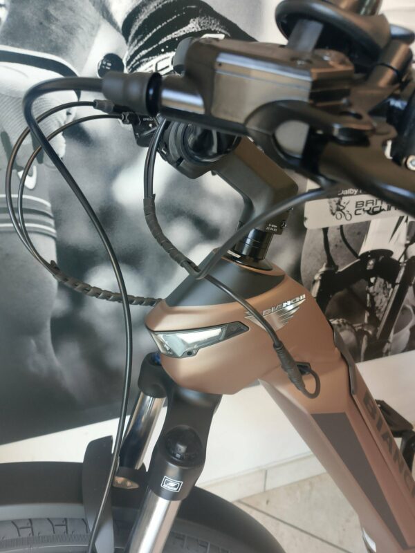 BIANCHI E-Omnia C Type Donna
OLI Edge - immagine 8