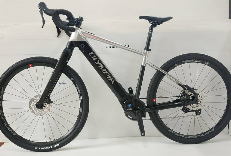 OLYMPIA SLED E-GRAVEL