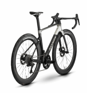 RAYMON ARVA ULTIMATE